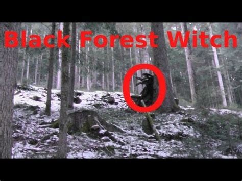 Black fordst witch